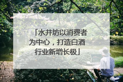 水井坊以消费者为中心，打造白酒行业新增长极