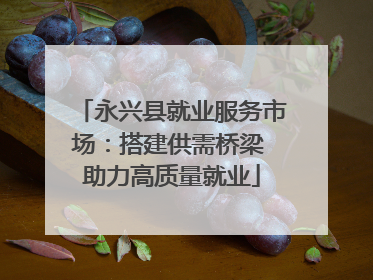 永兴县就业服务市场：搭建供需桥梁 助力高质量就业