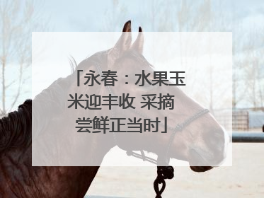 永春：水果玉米迎丰收 采摘尝鲜正当时