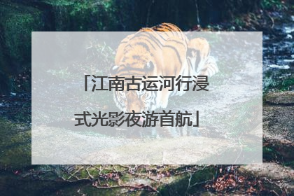 江南古运河行浸式光影夜游首航
