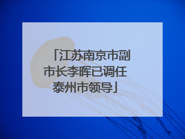 江苏南京市副市长李晖已调任泰州市领导
