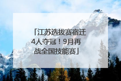 江苏选拔赛宿迁4人夺冠！9月再战全国技能赛