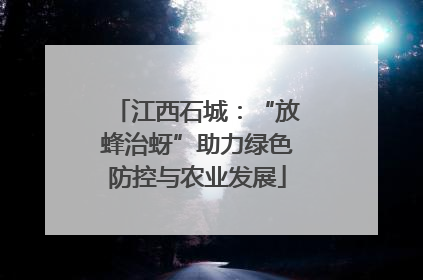 江西石城：“放蜂治蚜”助力绿色防控与农业发展