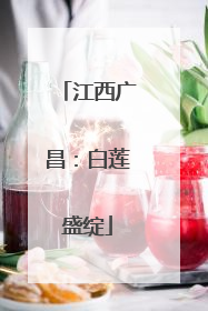 江西广昌：白莲盛绽
