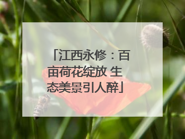 江西永修：百亩荷花绽放 生态美景引人醉