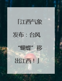 江西气象发布：台风“蝴蝶”移出江西！