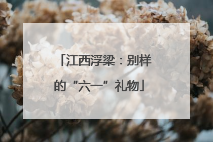 江西浮梁：别样的“六一”礼物