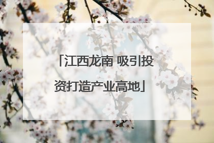 江西龙南 吸引投资打造产业高地