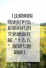 沈晓明围绕更好担负起新时代的文化使命开展“十五五”规划专题调研