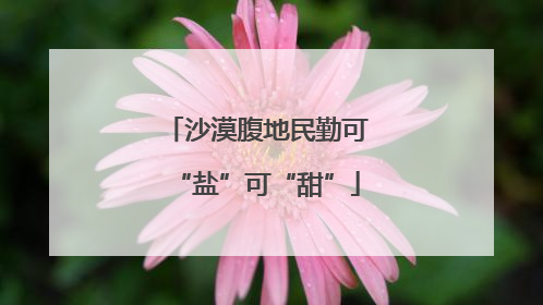 沙漠腹地民勤可“盐”可“甜”