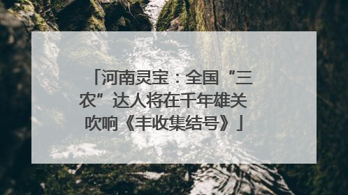 河南灵宝：全国“三农”达人将在千年雄关吹响《丰收集结号》