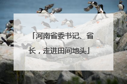 河南省委书记、省长，走进田间地头