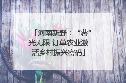 河南新野：“薯”光无限 订单农业激活乡村振兴密码