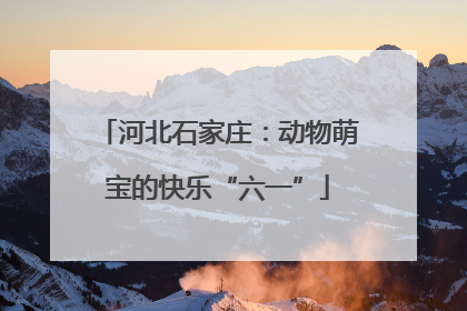 河北石家庄：动物萌宝的快乐“六一”