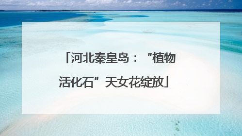 河北秦皇岛：“植物活化石”天女花绽放