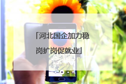 河北国企加力稳岗扩岗促就业