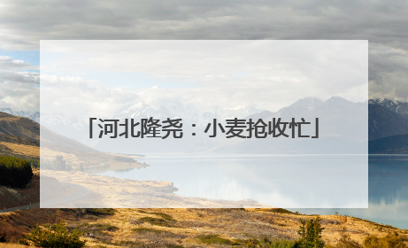 河北隆尧：小麦抢收忙
