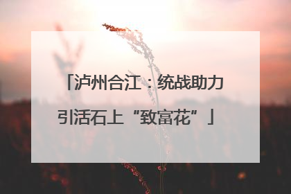 泸州合江：统战助力引活石上“致富花”