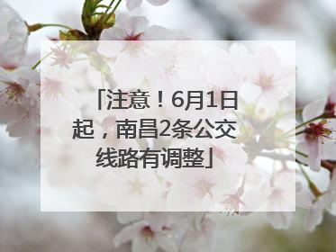 注意！6月1日起，南昌2条公交线路有调整