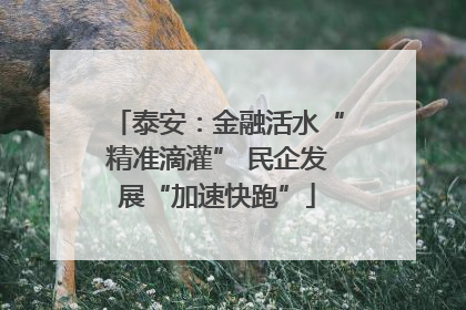 泰安：金融活水“精准滴灌” 民企发展“加速快跑”