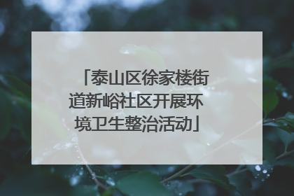 泰山区徐家楼街道新峪社区开展环境卫生整治活动
