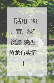 活用“红、黄、绿”资源 陕西黄龙有实招