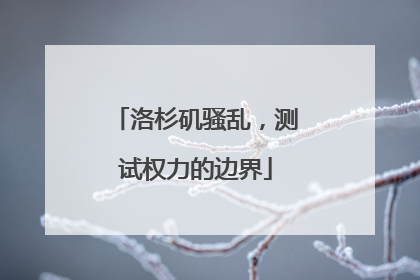 洛杉矶骚乱，测试权力的边界