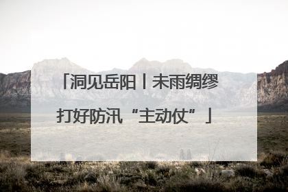 洞见岳阳丨未雨绸缪 打好防汛“主动仗”