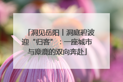 洞见岳阳丨洞庭碧波迎“归客”：一座城市与麋鹿的双向奔赴