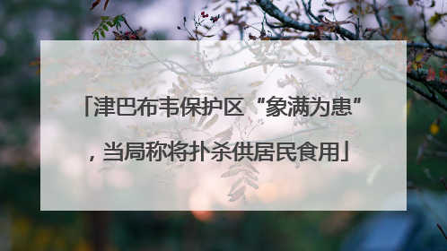津巴布韦保护区“象满为患”，当局称将扑杀供居民食用