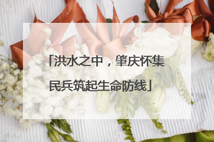 洪水之中，肇庆怀集民兵筑起生命防线