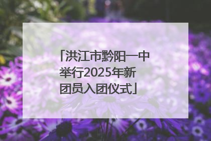 洪江市黔阳一中举行2025年新团员入团仪式