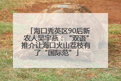 海口秀英区90后新农人吴宇燕：“双语”推介让海口火山荔枝有了“国际范”