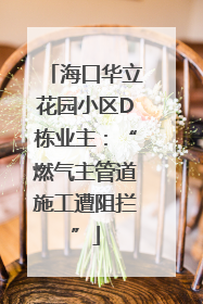 海口华立花园小区D栋业主：“燃气主管道施工遭阻拦”