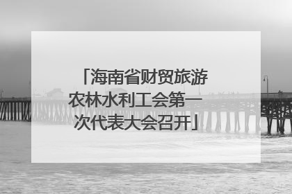 海南省财贸旅游农林水利工会第一次代表大会召开
