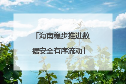 海南稳步推进数据安全有序流动