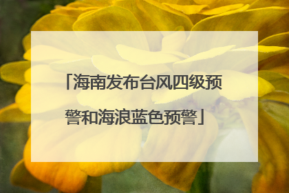 海南发布台风四级预警和海浪蓝色预警