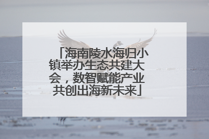 海南陵水海归小镇举办生态共建大会，数智赋能产业共创出海新未来