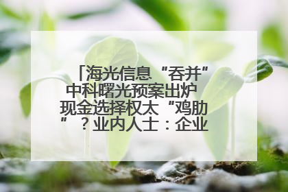 海光信息“吞并”中科曙光预案出炉 现金选择权太“鸡肋”？业内人士：企业不想大量现金流出