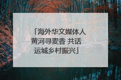 海外华文媒体人黄河寻麦香 共话运城乡村振兴