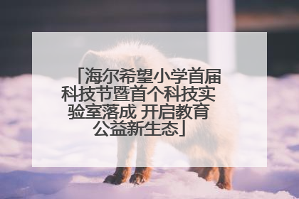 海尔希望小学首届科技节暨首个科技实验室落成 开启教育公益新生态
