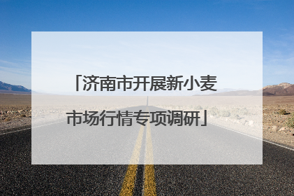 济南市开展新小麦市场行情专项调研