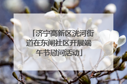 济宁高新区洸河街道在东闸社区开展端午节慰问活动