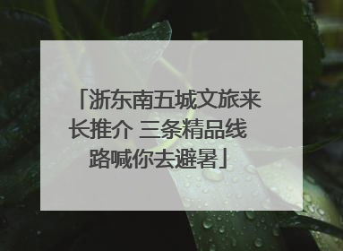 浙东南五城文旅来长推介 三条精品线路喊你去避暑
