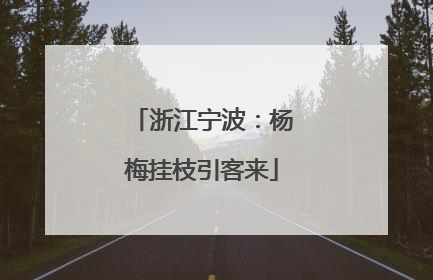 浙江宁波：杨梅挂枝引客来