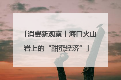 消费新观察丨海口火山岩上的“甜蜜经济”