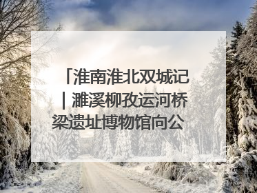 淮南淮北双城记｜濉溪柳孜运河桥梁遗址博物馆向公众开放 可沉浸式触摸历史