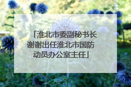 淮北市委副秘书长谢谢出任淮北市国防动员办公室主任