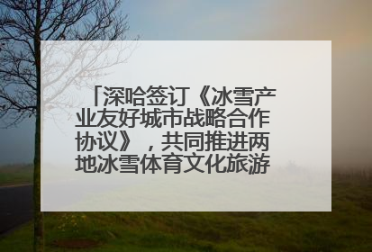 深哈签订《冰雪产业友好城市战略合作协议》，共同推进两地冰雪体育文化旅游高质量发展