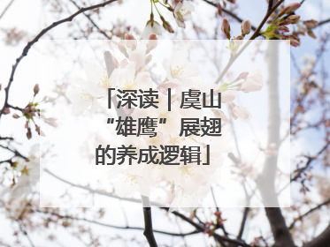 深读｜虞山“雄鹰”展翅的养成逻辑